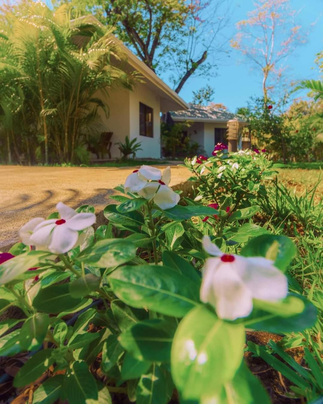 Buddha Retreat Hotel San Juanillo ภายนอก รูปภาพ