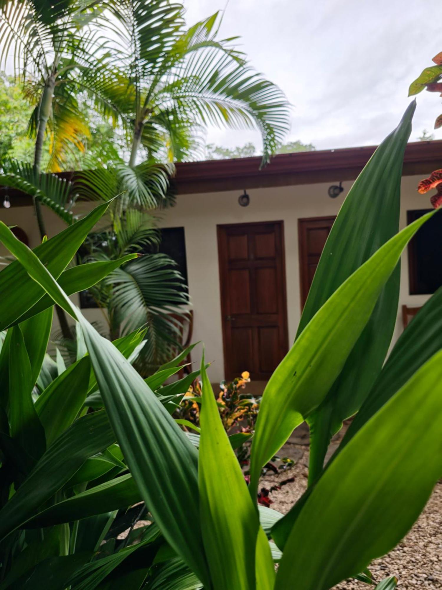 Buddha Retreat Hotel San Juanillo ภายนอก รูปภาพ