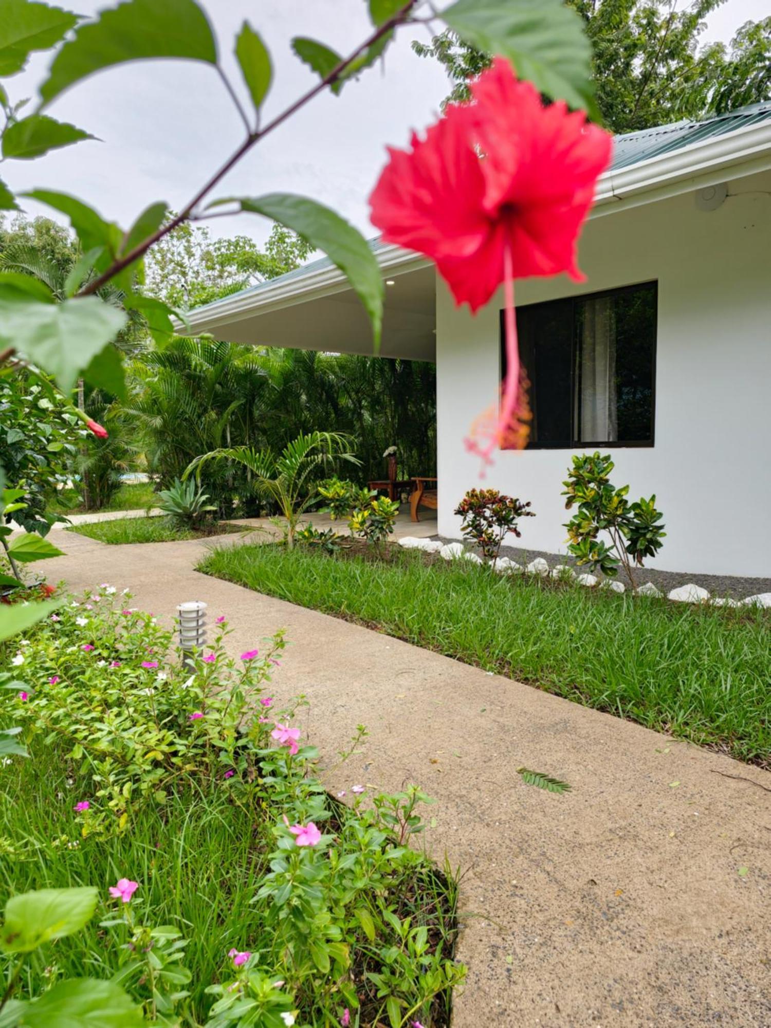 Buddha Retreat Hotel San Juanillo ภายนอก รูปภาพ