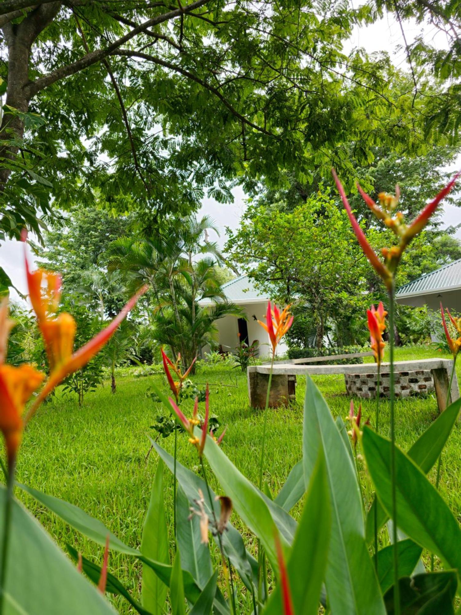 Buddha Retreat Hotel San Juanillo ภายนอก รูปภาพ